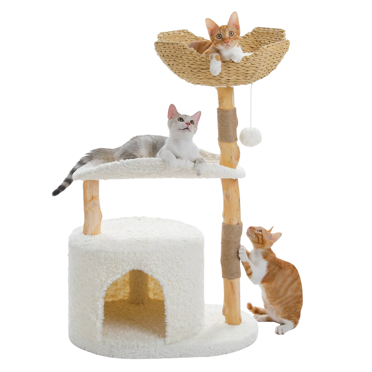 Cats on a natural wood cat tree with a woven basket, curved perch and plush condo