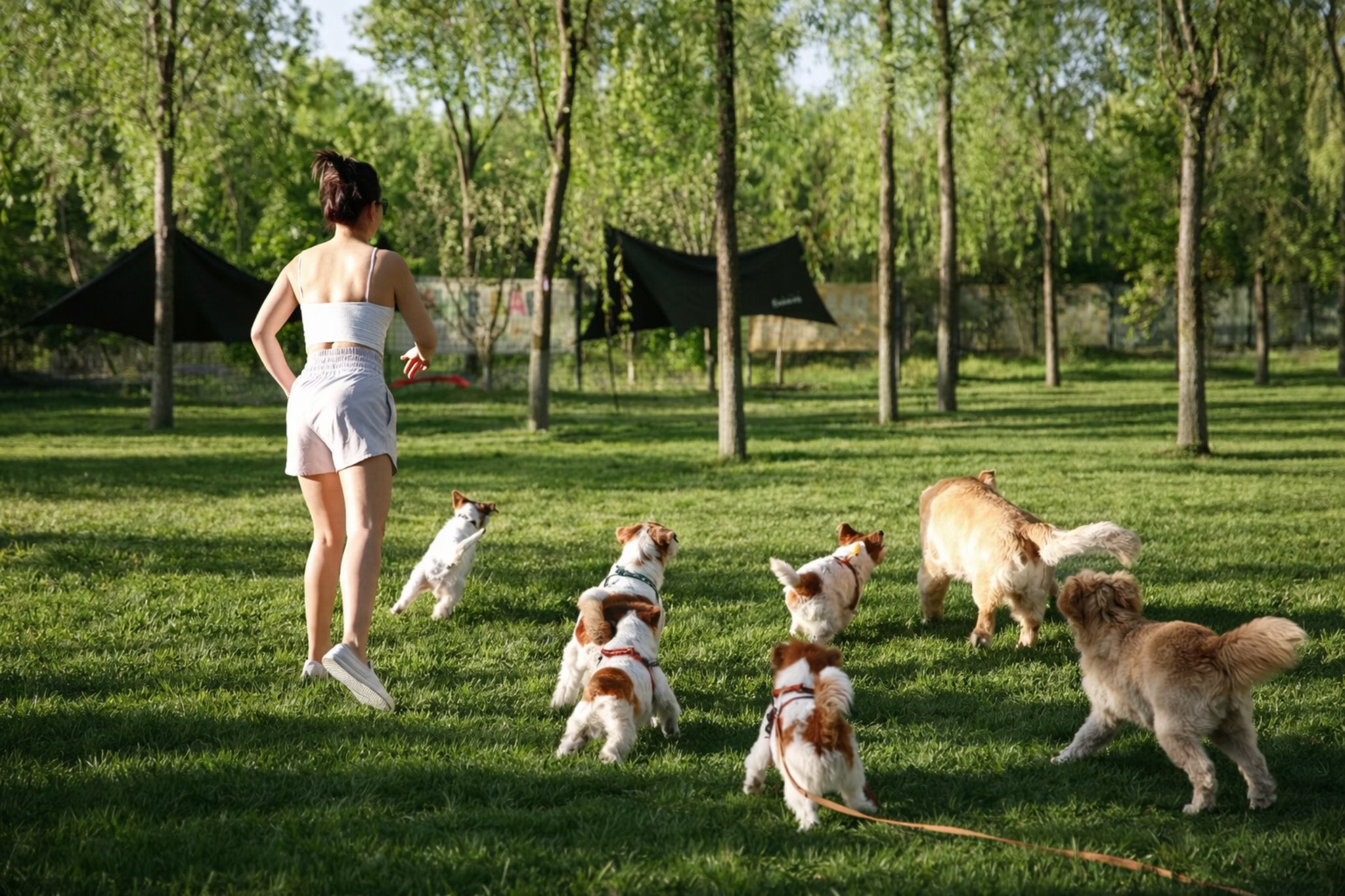 EcoPawPaw