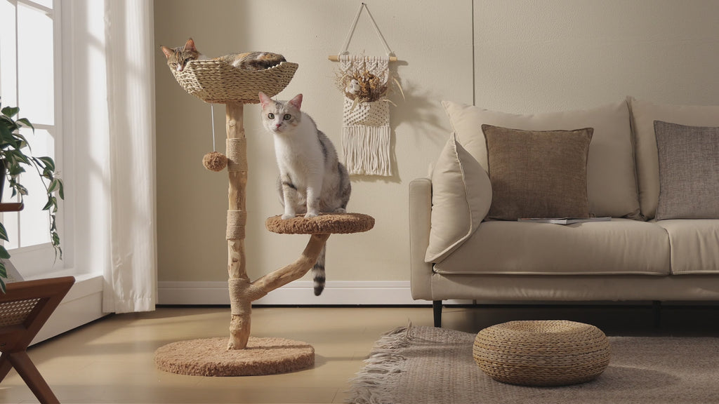 EcoPawPaw 95cm Natural Wooden Cat Tree with Handwoven Wicker Bed – Space-Saving Cat Tower for Small & Medium Cats
