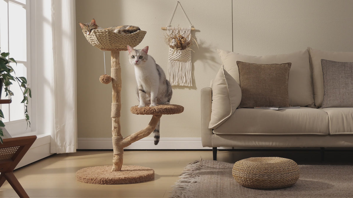 EcoPawPaw 95cm Natural Wooden Cat Tree with Handwoven Wicker Bed – Space-Saving Cat Tower for Small & Medium Cats