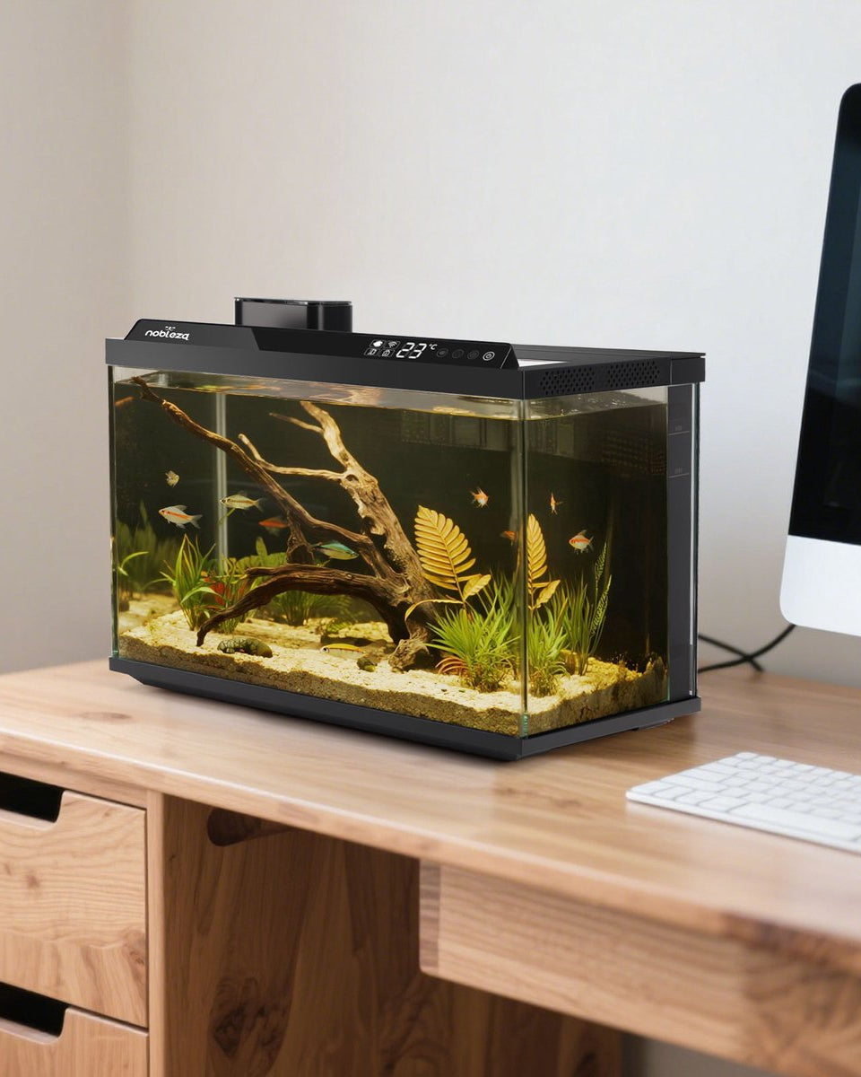 Smart Aquarium 30L with App Control & Auto Feeder – EcoPawPaw